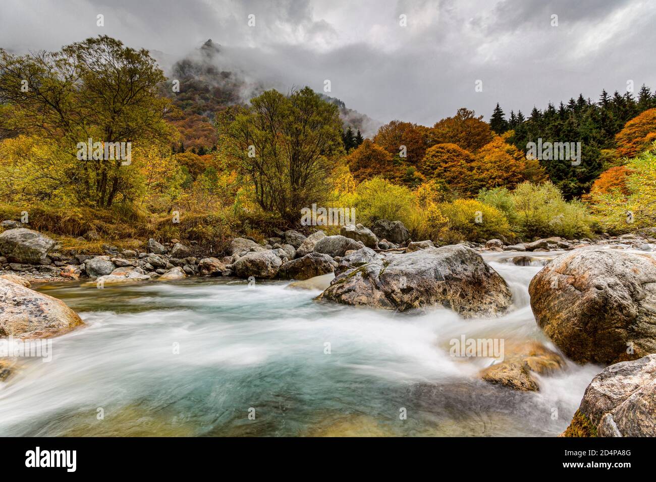 Italie Piémont Valle Gesso - automne Banque D'Images