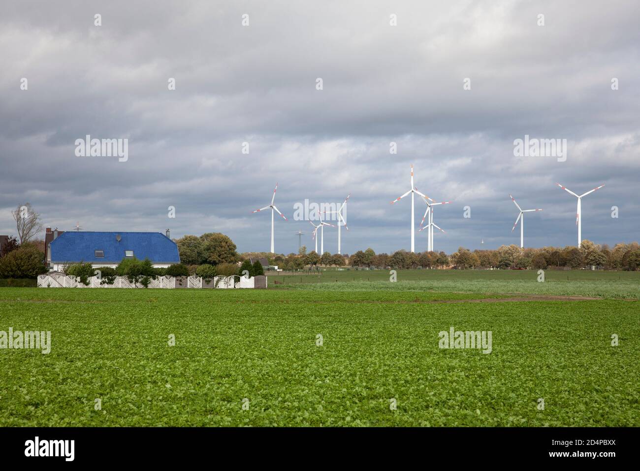 Centrales éoliennes près d'Erkelenz-Keyenberg, Rhénanie-du-Nord-Westphalie, Allemagne. Windkraftanlagen nahe Erkelenz-Keyenberg, Nordrhein-Westfalen, Deutschlan Banque D'Images