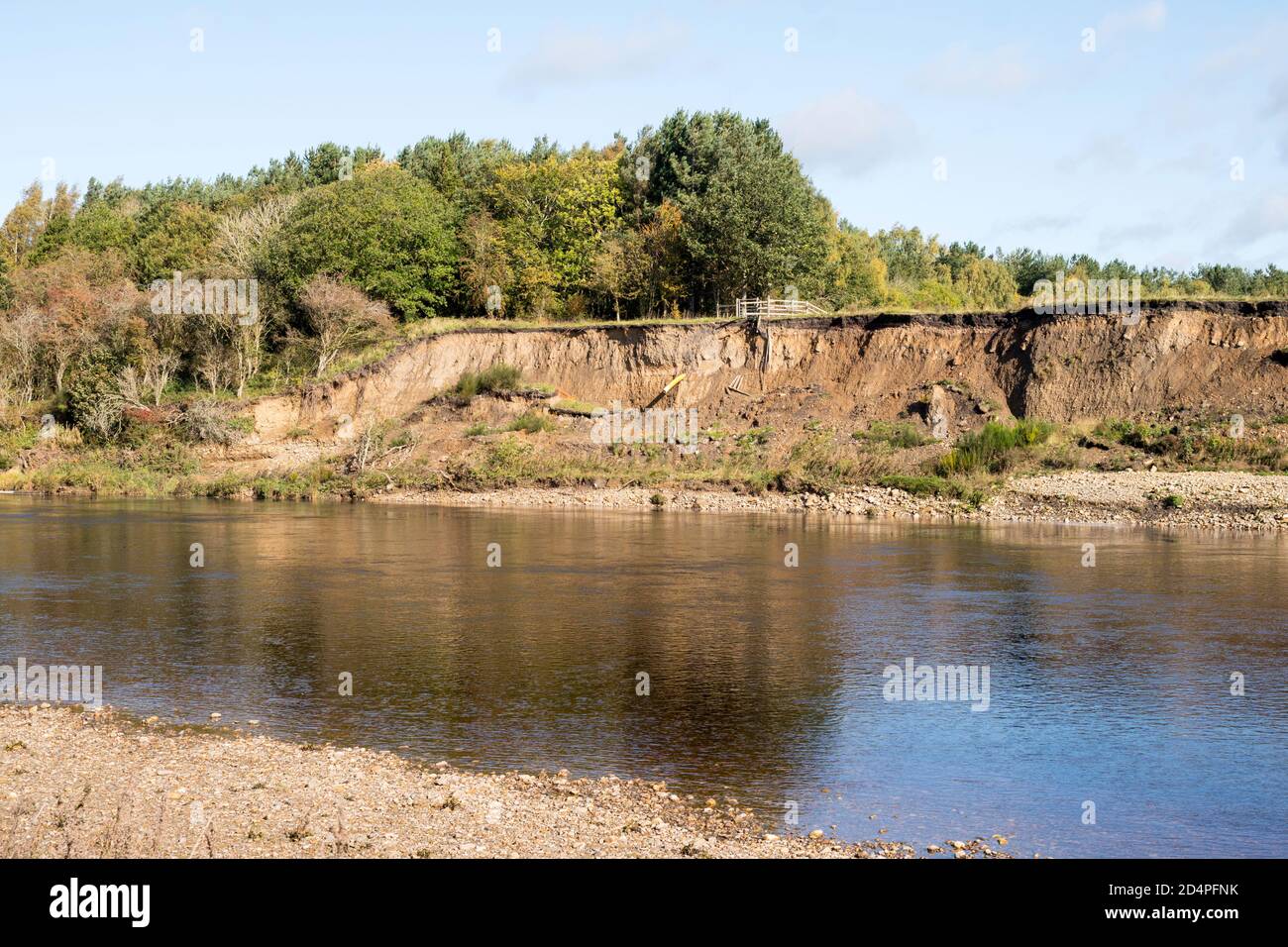 La rive nord érodée de la rivière Tyne à l'ouest de Hexham dans Northumberland, Angleterre, Royaume-Uni Banque D'Images