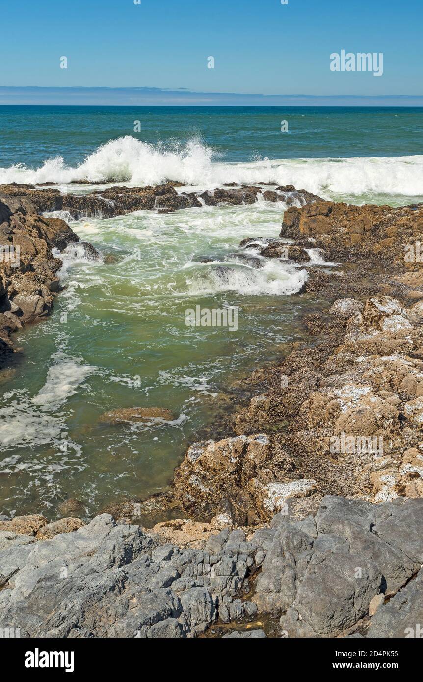 Les vagues s'écrasant sur les Coastal Rocks à la colline de Strawberry Plage dans l'Oregon Banque D'Images
