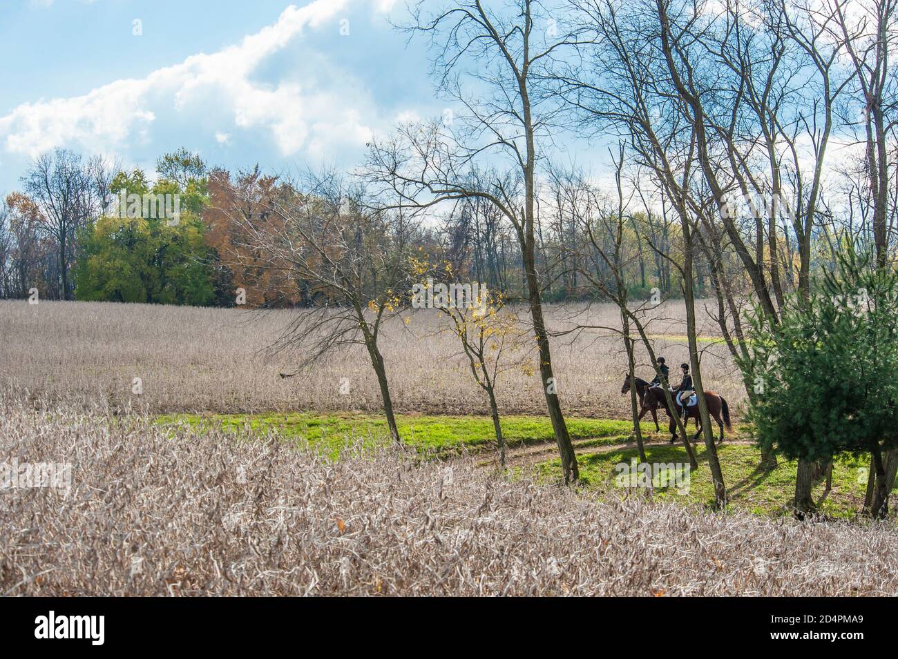 Jeune femme équestrians en équitation dans les pâturages d'automne Banque D'Images