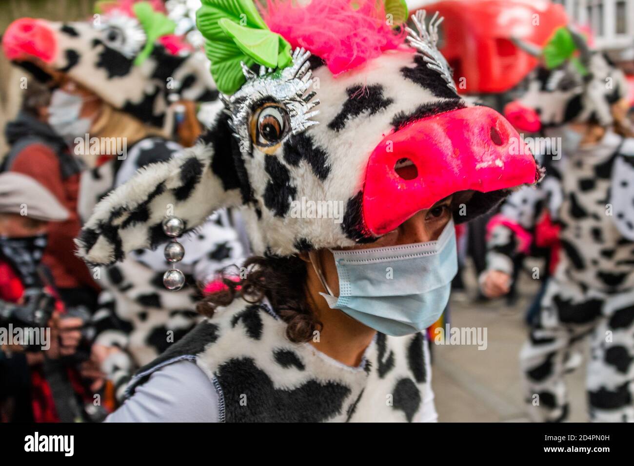 Londres, Royaume-Uni. 10 octobre 2020. Assez d'ecocide - extinction protestation de la rébellion contre la destruction de la forêt amazonienne à l'ambassade du Brésil. Cette journée s'inscrit dans le cadre d'une journée mondiale d'action pour Amazon. Crédit : Guy Bell/Alay Live News Banque D'Images