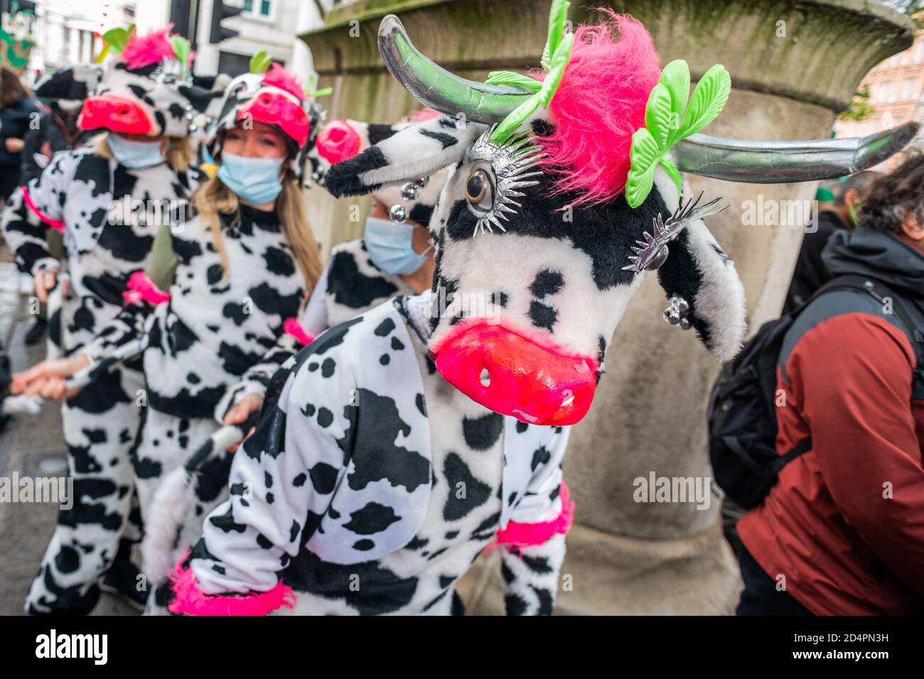 Londres, Royaume-Uni. 10 octobre 2020. Assez d'ecocide - extinction protestation de la rébellion contre la destruction de la forêt amazonienne à l'ambassade du Brésil. Cette journée s'inscrit dans le cadre d'une journée mondiale d'action pour Amazon. Crédit : Guy Bell/Alay Live News Banque D'Images