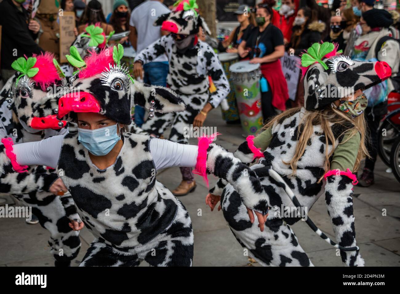 Londres, Royaume-Uni. 10 octobre 2020. Assez d'ecocide - extinction protestation de la rébellion contre la destruction de la forêt amazonienne à l'ambassade du Brésil. Cette journée s'inscrit dans le cadre d'une journée mondiale d'action pour Amazon. Crédit : Guy Bell/Alay Live News Banque D'Images