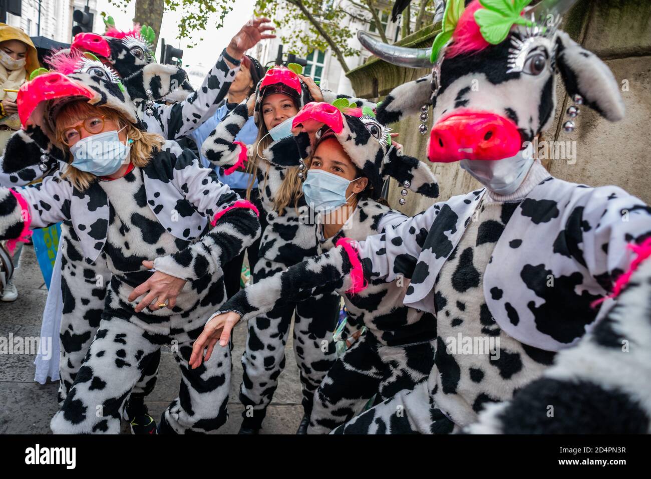 Londres, Royaume-Uni. 10 octobre 2020. Assez d'ecocide - extinction protestation de la rébellion contre la destruction de la forêt amazonienne à l'ambassade du Brésil. Cette journée s'inscrit dans le cadre d'une journée mondiale d'action pour Amazon. Crédit : Guy Bell/Alay Live News Banque D'Images