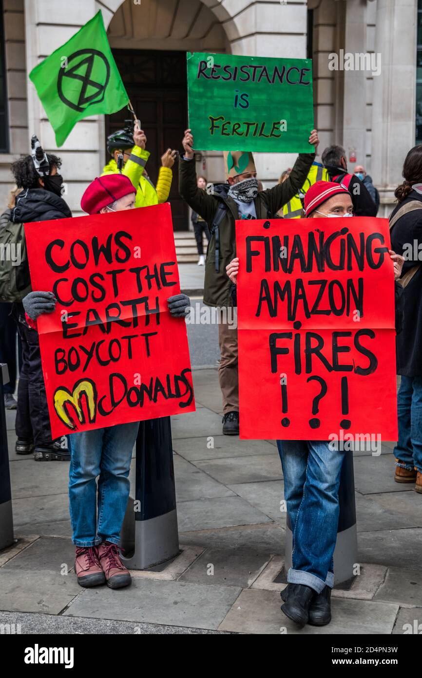 Londres, Royaume-Uni. 10 octobre 2020. Assez d'ecocide - extinction protestation de la rébellion contre la destruction de la forêt amazonienne à l'ambassade du Brésil. Cette journée s'inscrit dans le cadre d'une journée mondiale d'action pour Amazon. Crédit : Guy Bell/Alay Live News Banque D'Images