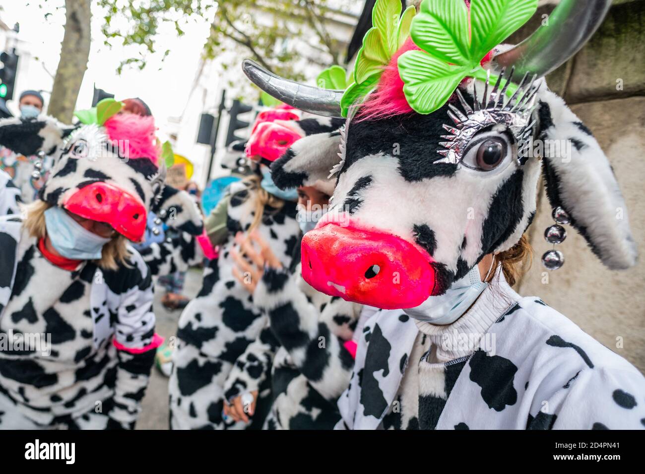 Londres, Royaume-Uni. 10 octobre 2020. Assez d'ecocide - extinction protestation de la rébellion contre la destruction de la forêt amazonienne à l'ambassade du Brésil. Cette journée s'inscrit dans le cadre d'une journée mondiale d'action pour Amazon. Crédit : Guy Bell/Alay Live News Banque D'Images