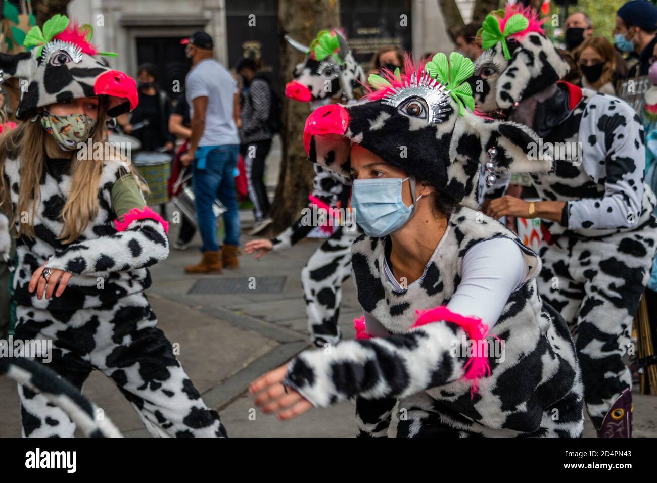 Londres, Royaume-Uni. 10 octobre 2020. Assez d'ecocide - extinction protestation de la rébellion contre la destruction de la forêt amazonienne à l'ambassade du Brésil. Cette journée s'inscrit dans le cadre d'une journée mondiale d'action pour Amazon. Crédit : Guy Bell/Alay Live News Banque D'Images