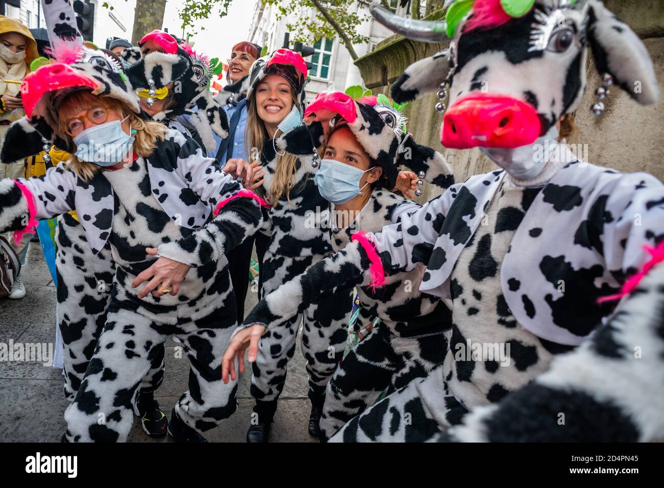 Londres, Royaume-Uni. 10 octobre 2020. Assez d'ecocide - extinction protestation de la rébellion contre la destruction de la forêt amazonienne à l'ambassade du Brésil. Cette journée s'inscrit dans le cadre d'une journée mondiale d'action pour Amazon. Crédit : Guy Bell/Alay Live News Banque D'Images
