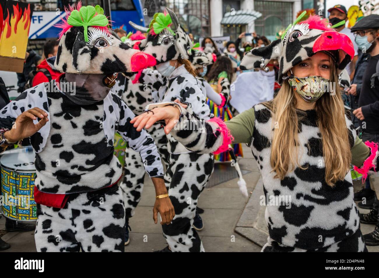 Londres, Royaume-Uni. 10 octobre 2020. Assez d'ecocide - extinction protestation de la rébellion contre la destruction de la forêt amazonienne à l'ambassade du Brésil. Cette journée s'inscrit dans le cadre d'une journée mondiale d'action pour Amazon. Crédit : Guy Bell/Alay Live News Banque D'Images