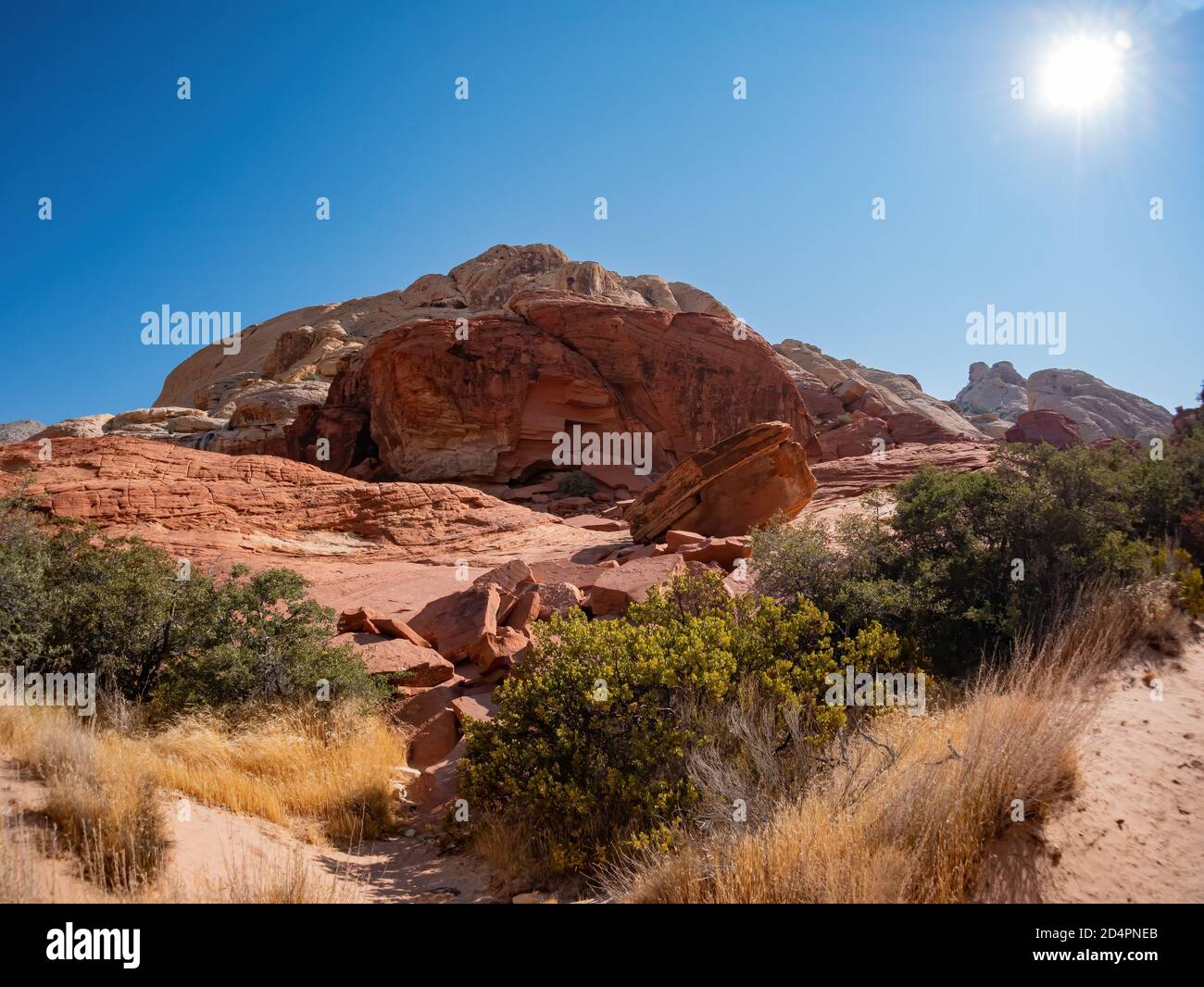 Vue ensoleillée sur le Calico Tanks Trail de Red Rock Canyon National conservation Area au Nevada Banque D'Images