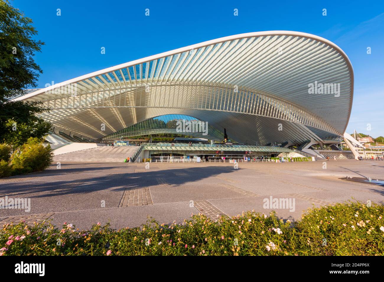 Gare de Liège Guillemins à Liège, Belgique. Il a été conçu par l'architecte Santiago Calatrava et a ouvert ses portes en 2009. Banque D'Images