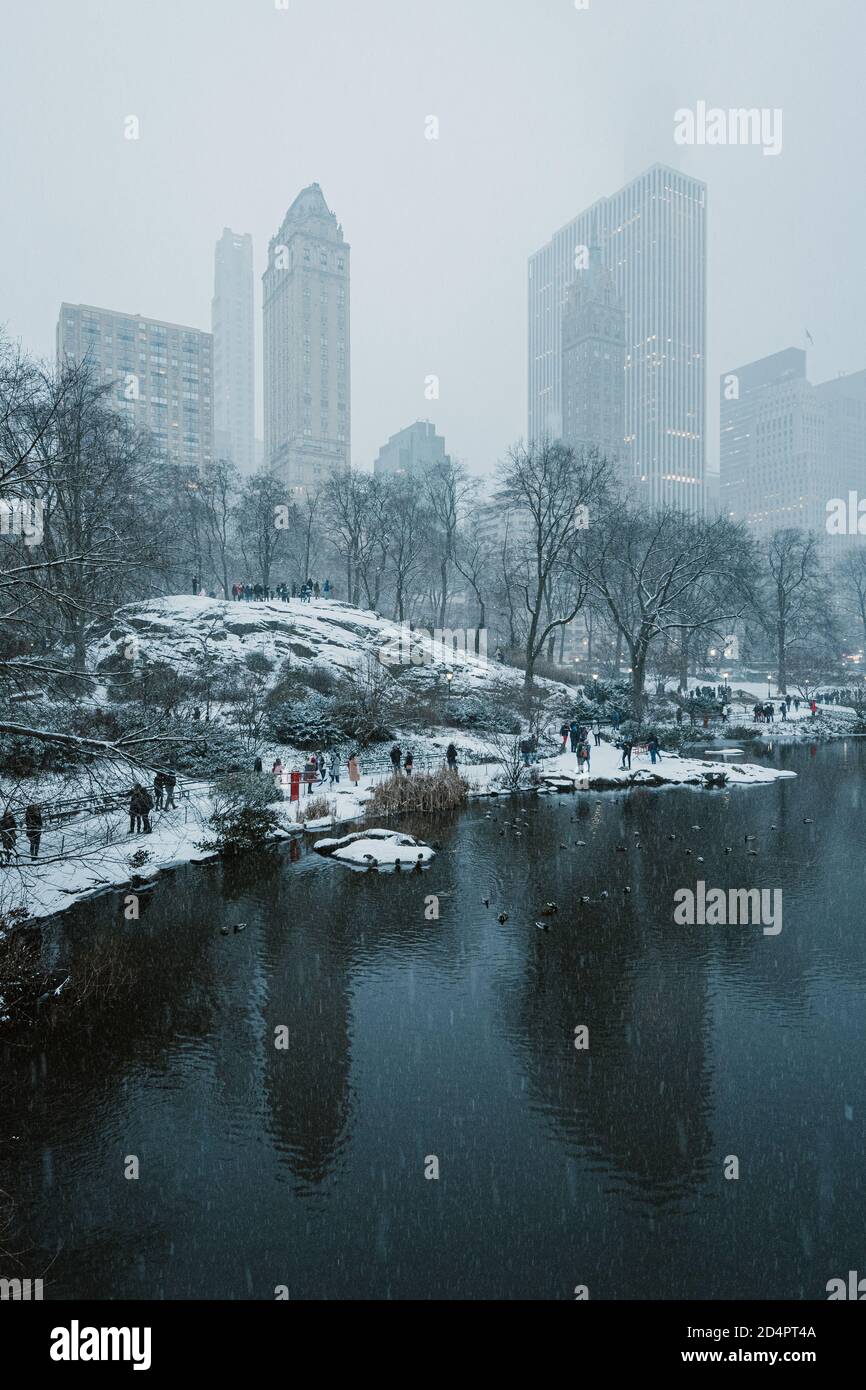 Vue sur le paysage urbain de Midtown, à The Pond, à Central Park, Manhattan, New York Banque D'Images