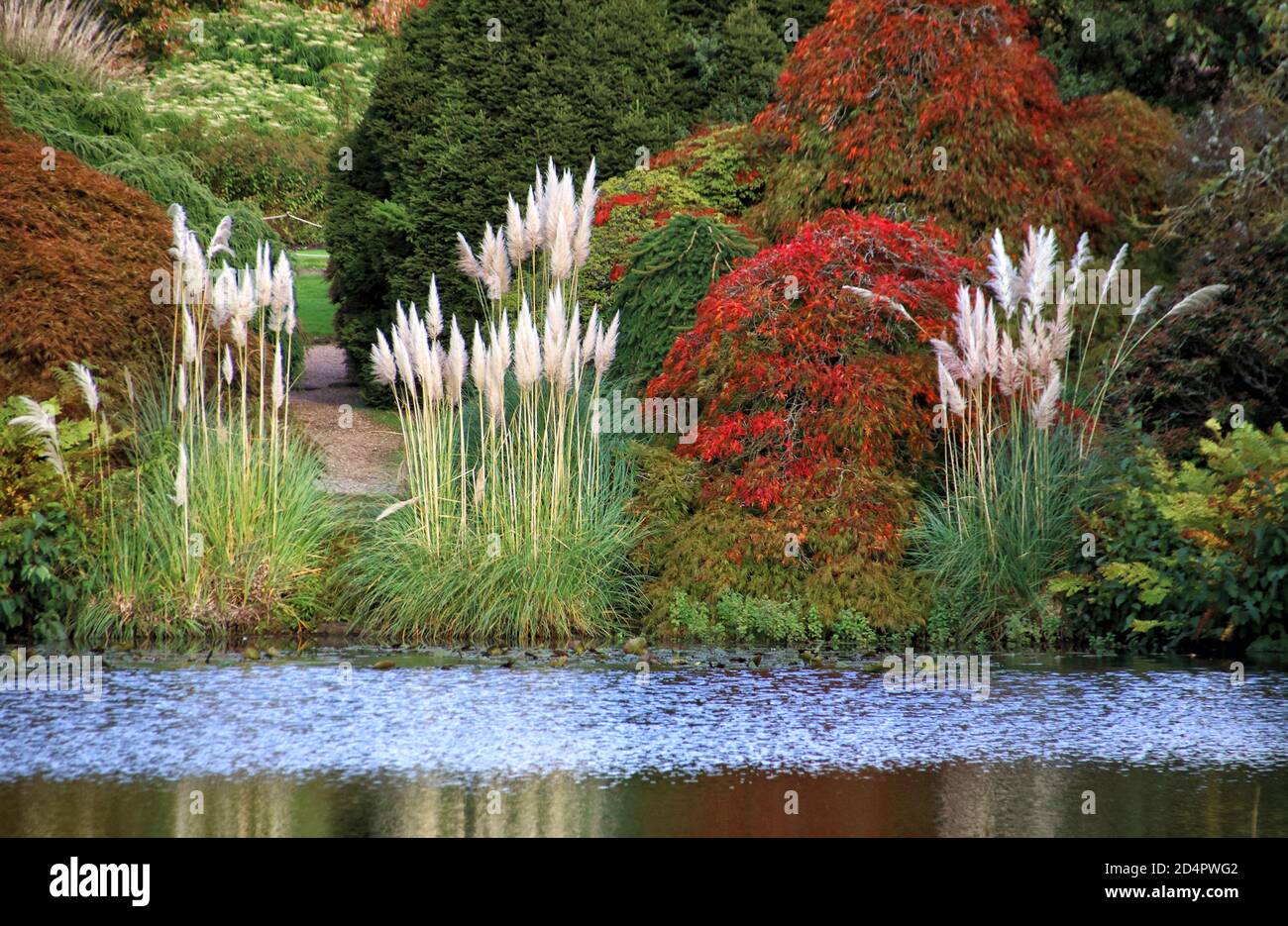 Crawley, Royaume-Uni. 07e octobre 2020. Feuillage coloré sur le côté du lac à Crawley.Autumn couleurs dans les jardins à Wakehurst place et Standen House autour de Crawley. Crédit : SOPA Images Limited/Alamy Live News Banque D'Images