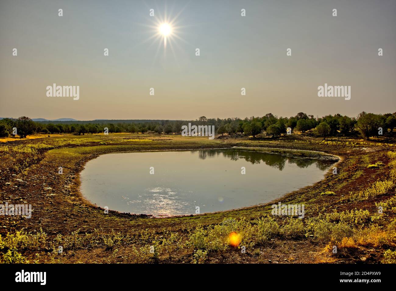 Un étang de bétail au nord de Drake Arizona a appelé le réservoir de washout. Situé dans la forêt nationale de Kaibab. La photo a été prise face au soleil du matin. Haze dans le s. Banque D'Images