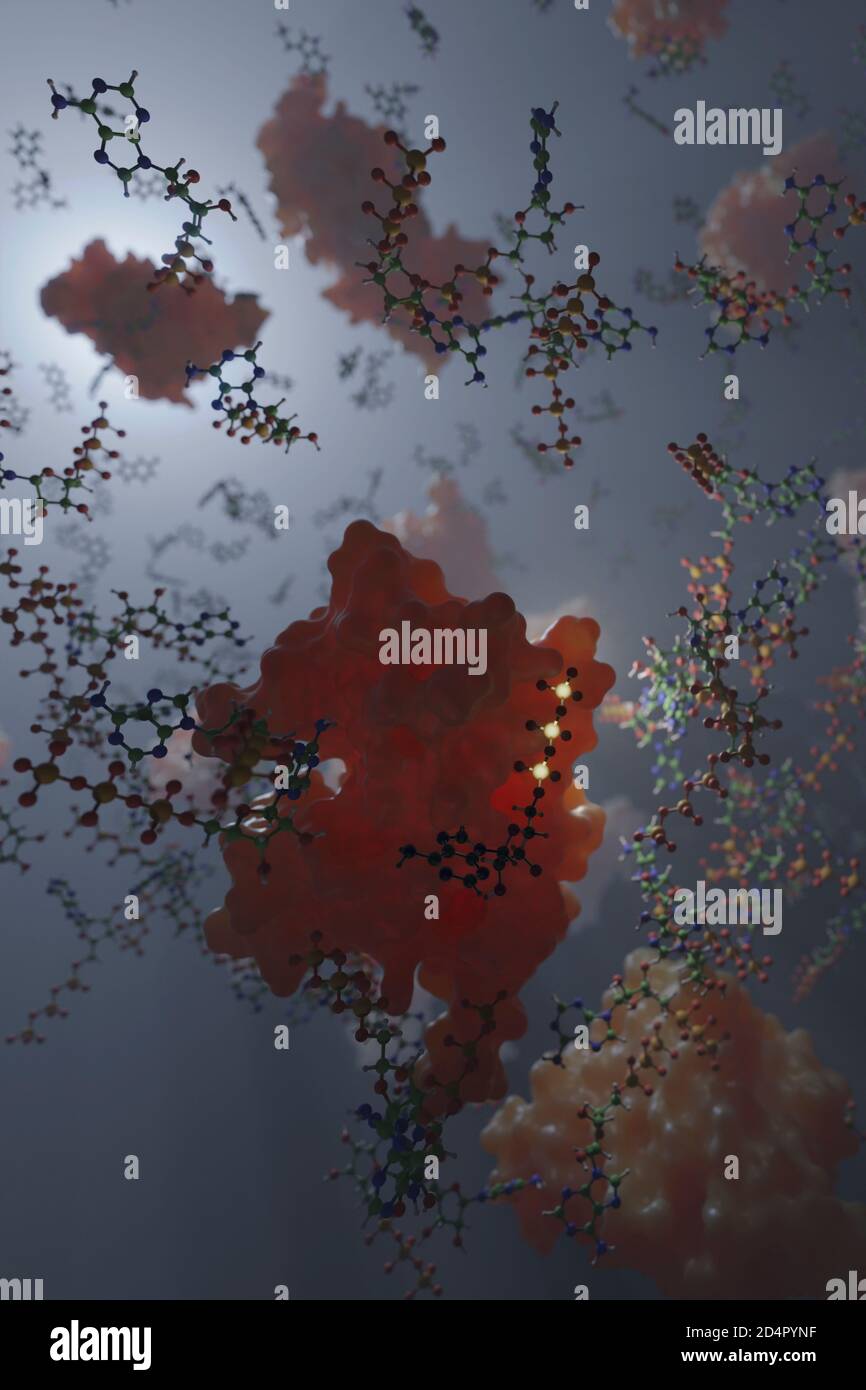 L'adénosine triphosphate (ATP) est une molécule organique qui fournit de l'énergie pour conduire de nombreux processus dans les cellules vivantes, par transfert d'énergie chimique. Banque D'Images