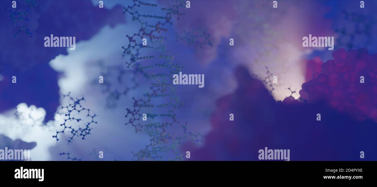 Le monde à l'intérieur d'une cellule humaine. Des chaînes d'ADN, des nucléotides (formant des paires de bases dans l'ADN) et des protéines à l'intérieur du noyau d'une cellule eucaryote. Banque D'Images