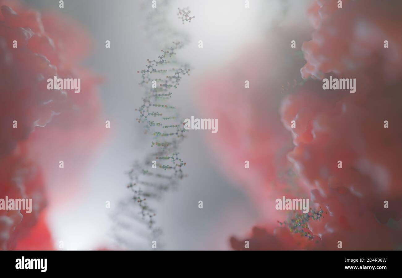 Chaîne d'ADN (contenant le code de vie) à l'intérieur d'une cellule. Banque D'Images