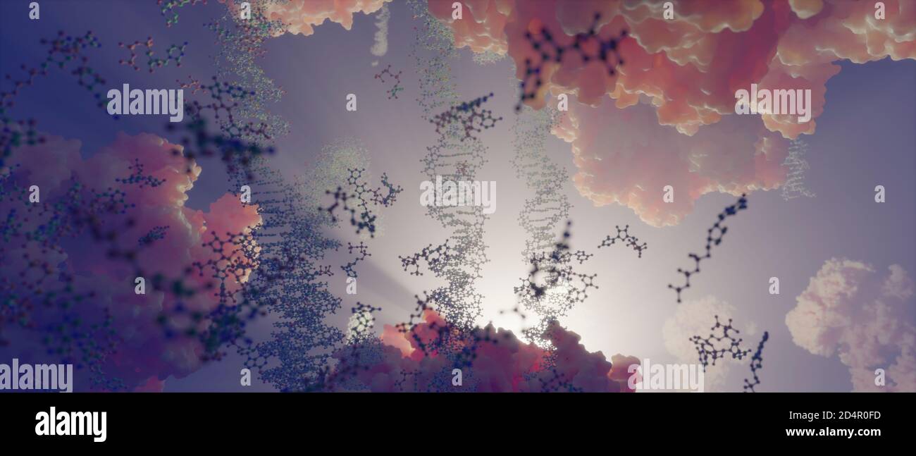 Le monde à l'intérieur d'une cellule humaine. Des chaînes d'ADN, des nucléotides (formant des paires de bases dans l'ADN) et des protéines à l'intérieur du noyau d'une cellule eucaryote. Banque D'Images