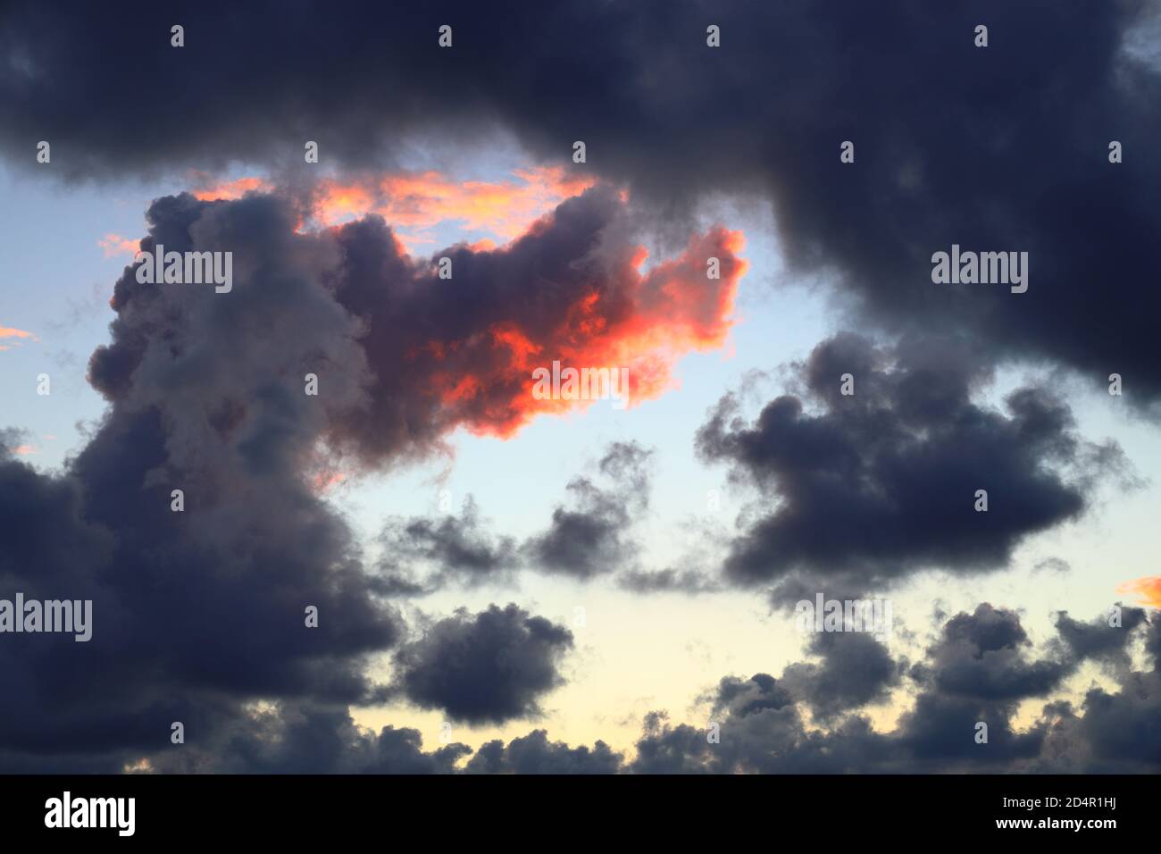 Nuages sombres au coucher du soleil. Ciel spectaculaire. Photographié sur la mer du Nord en septembre. Banque D'Images