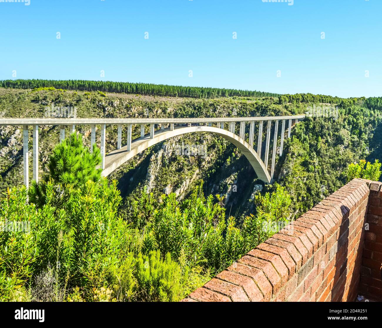 Bloukrans bunjee jumping bridge est un pont en arc situé près de Nature's Valley et dans Knysna Garden Route Western Cape en Afrique du Sud Banque D'Images