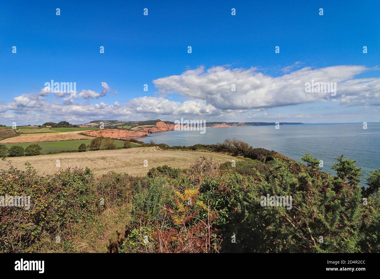 Falaises de Ladram Bay à Devon Banque D'Images