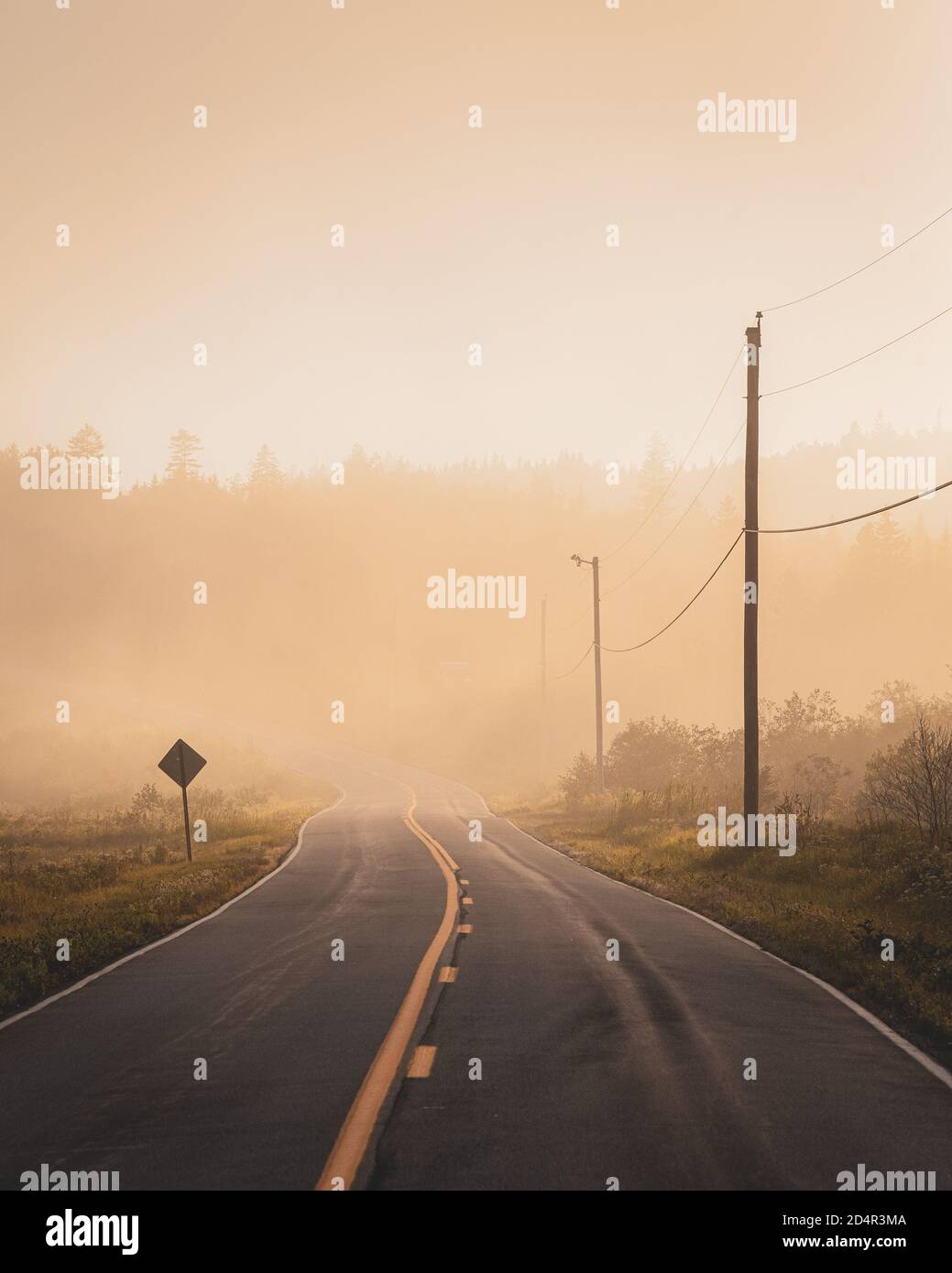 Brouillard sur une route à Lubec, Maine Banque D'Images