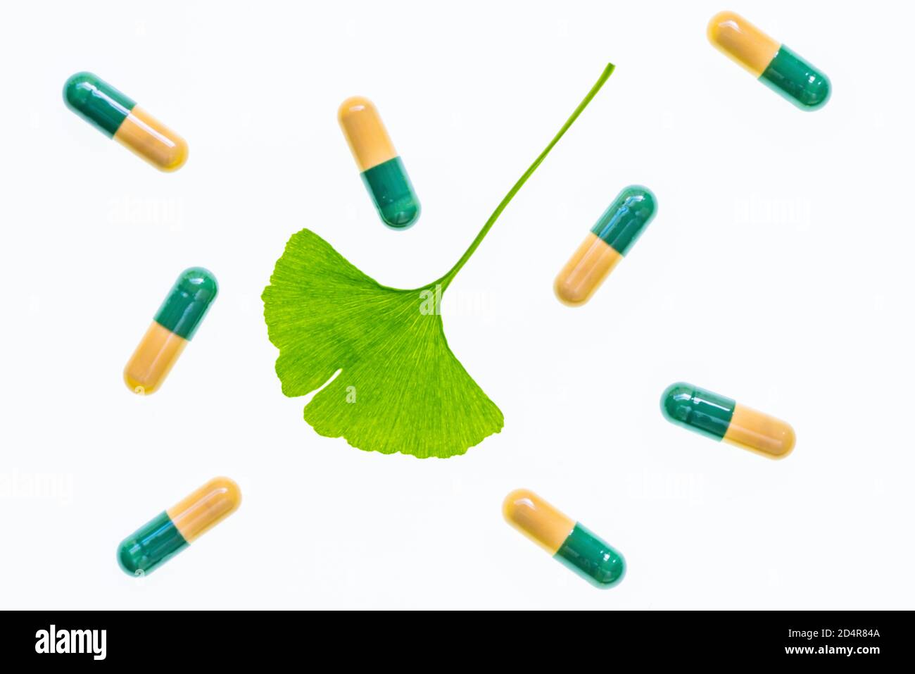 Ginkgo biloba et Pills Ginko fort ®. Banque D'Images