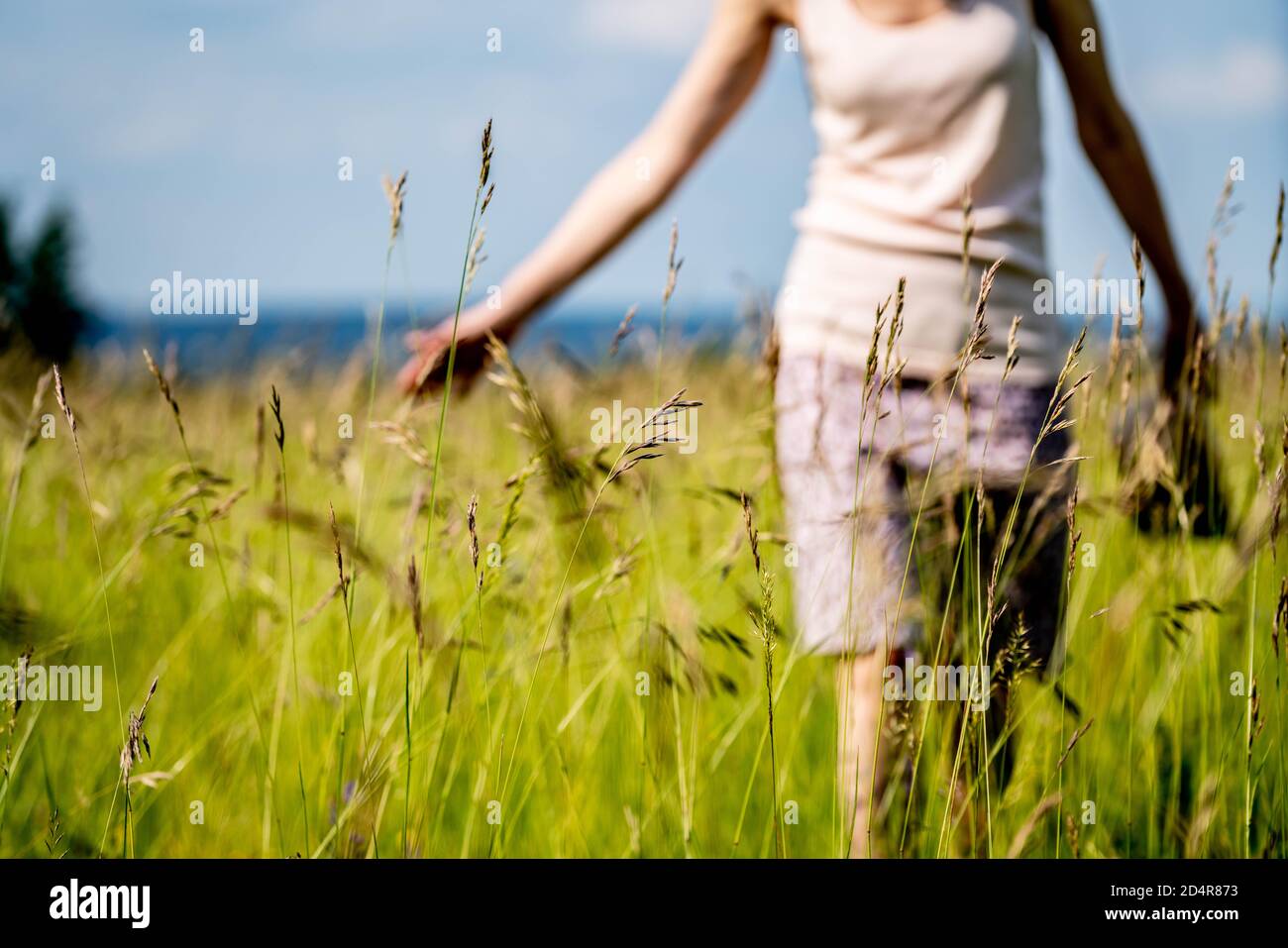 Femme marchant dans un champ. Banque D'Images