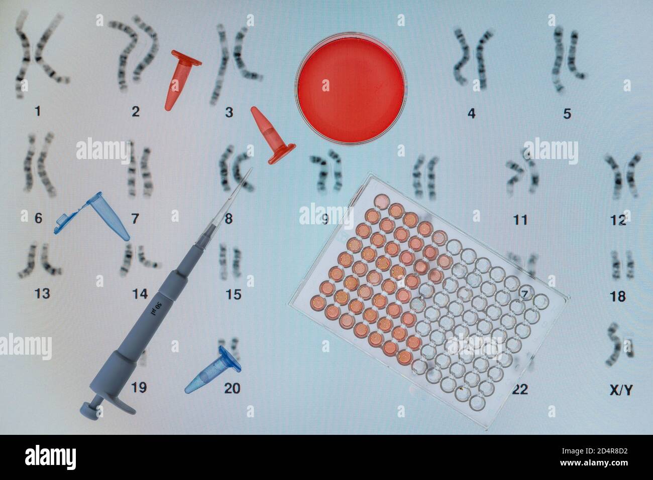 Recherche génétique, pipetage dans un tube à essai placé devant un autoradiogramme d'ADN (acide désoxyribonucléique). Banque D'Images