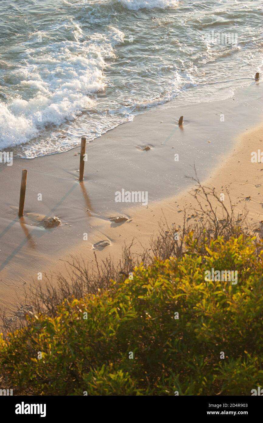 Côte de la plage, les vagues sont en train d'introduire dans le sable. Banque D'Images