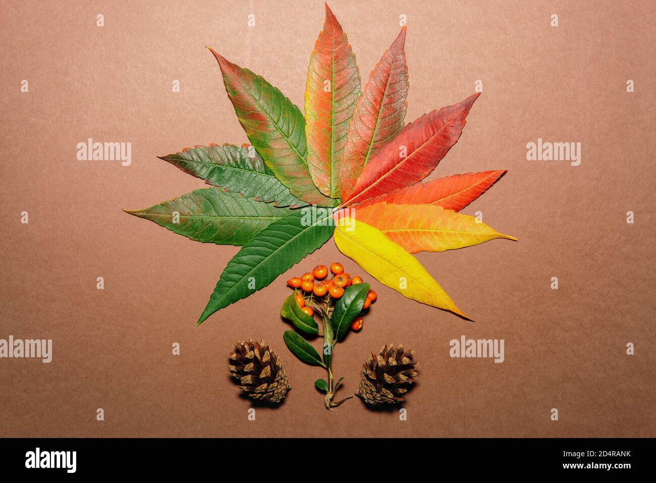 Feuille d'automne faite avec des feuilles colorées d'automne Banque D'Images
