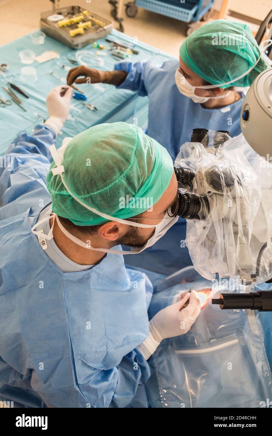 Greffe de cornée, département d