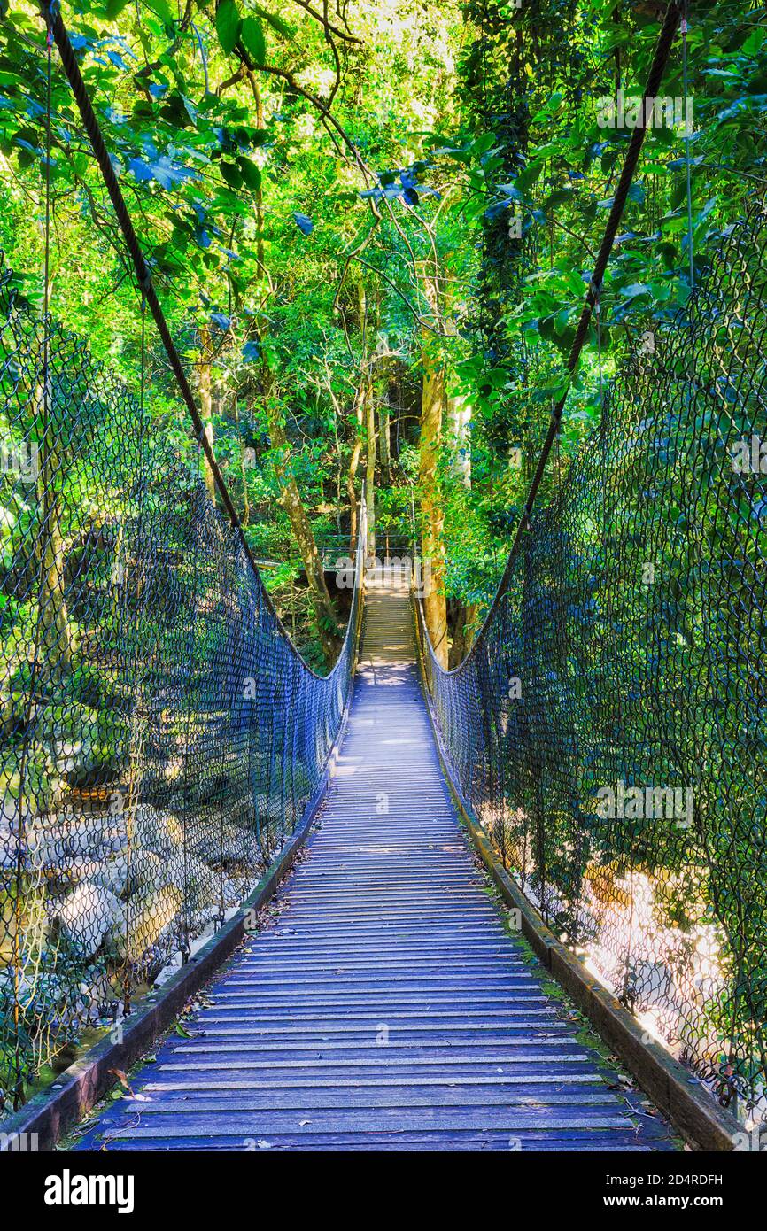 Pont suspendu dans le parc national de la forêt tropicale de Minnamourra - vue verticale luxuriante sur la rivière de la crique. Banque D'Images