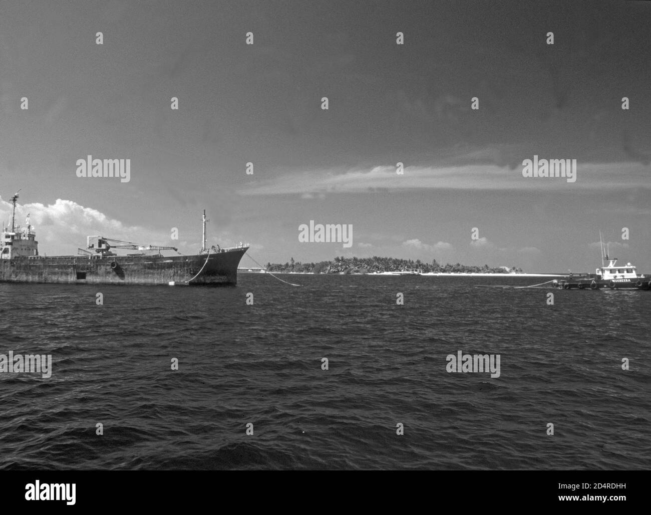 Le wreckship Kudih fret Ma est porté à l'île et là pour être envoyé à la partie inférieure pour une meilleure e milieu sous-marin. Banque D'Images