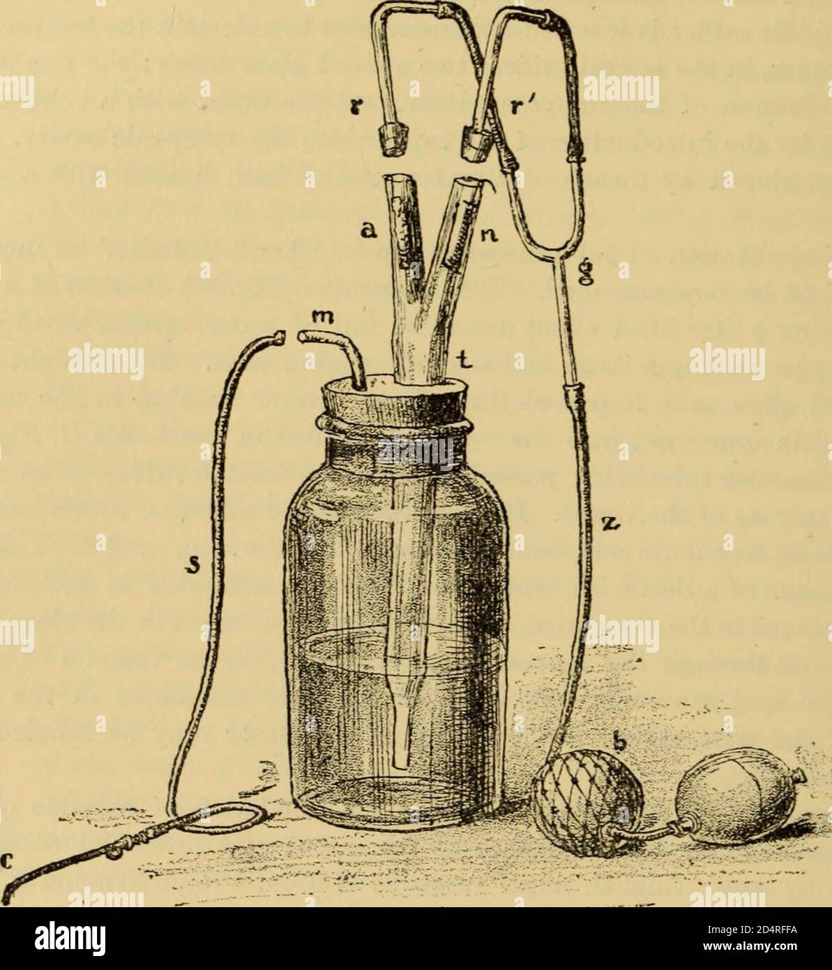 Un texte-livre des maladies de l'oreille et organes adjacents (1894) Banque D'Images