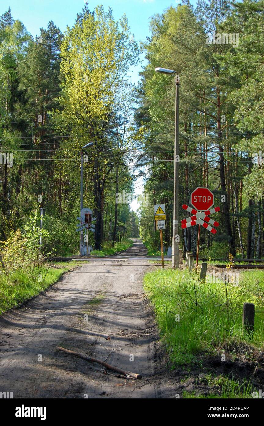 Belle photo d'une route dans un paysage forestier traversant un chemin de fer Banque D'Images