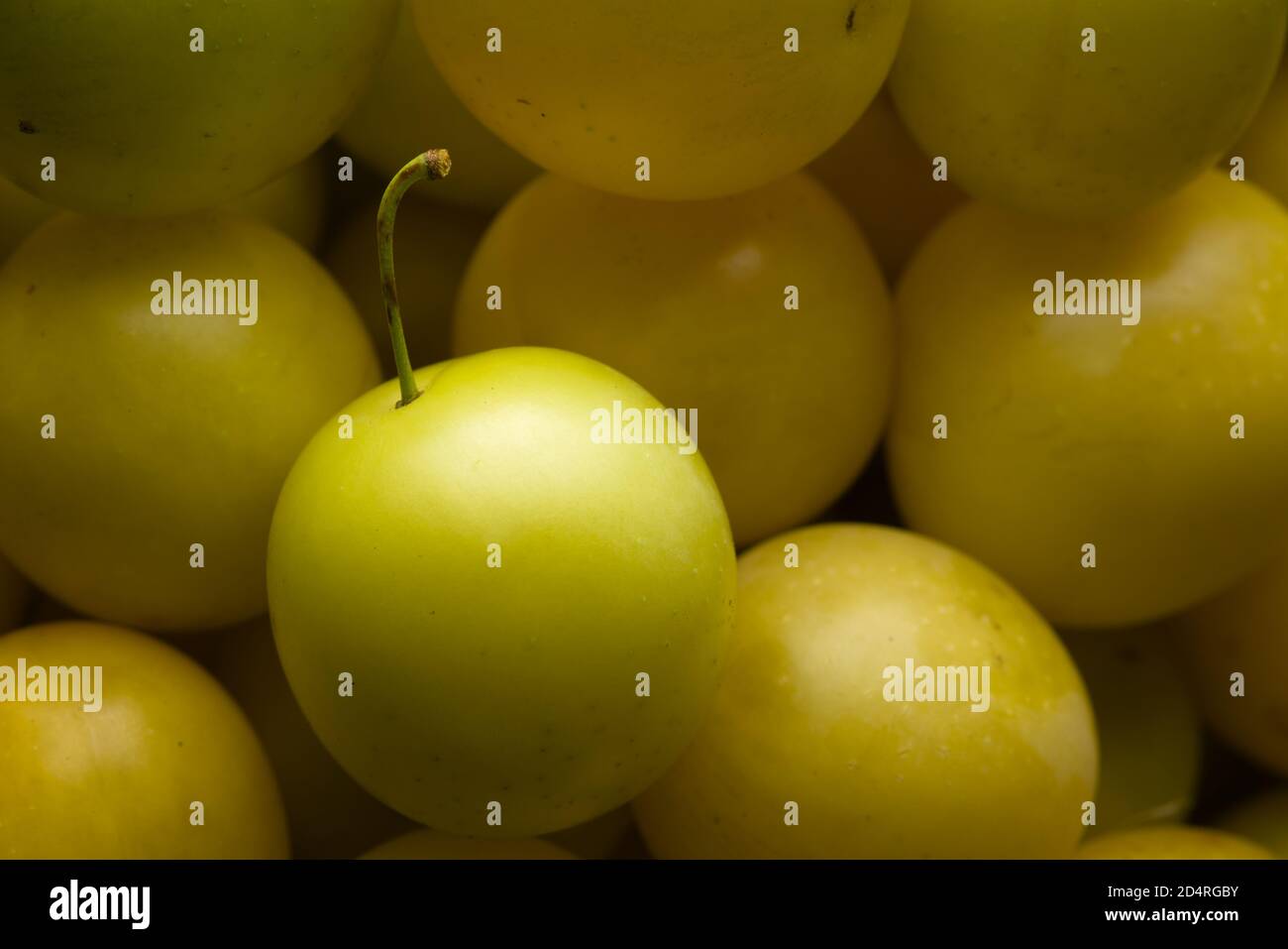 5 - gros plan macro image de prunes de la maison mirabelle jaune. Récolte de fruits mûrs et prêts à manger. Banque D'Images