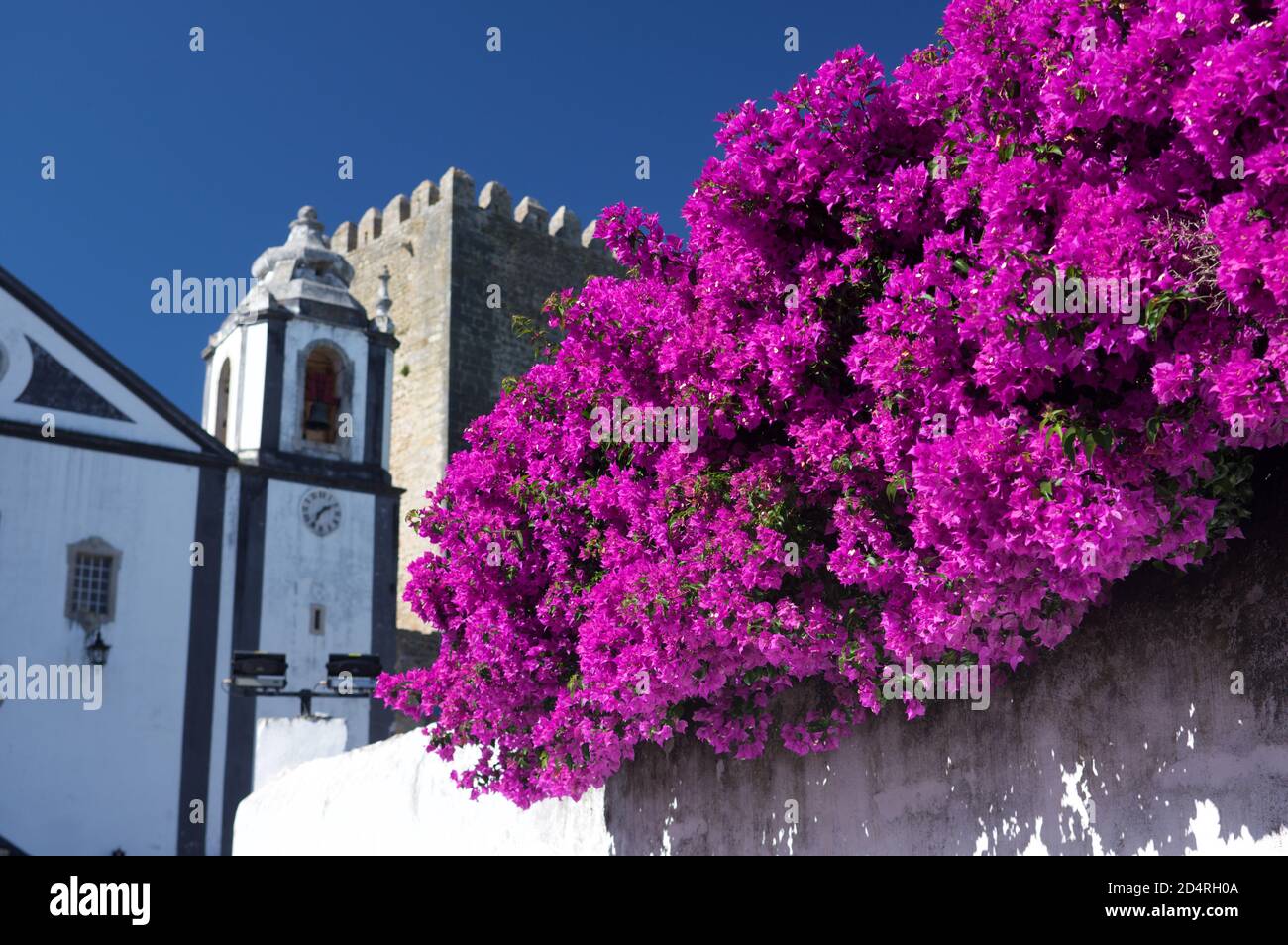 Bougainvilliers poussant sur un mur, Obidos, Portugal Banque D'Images