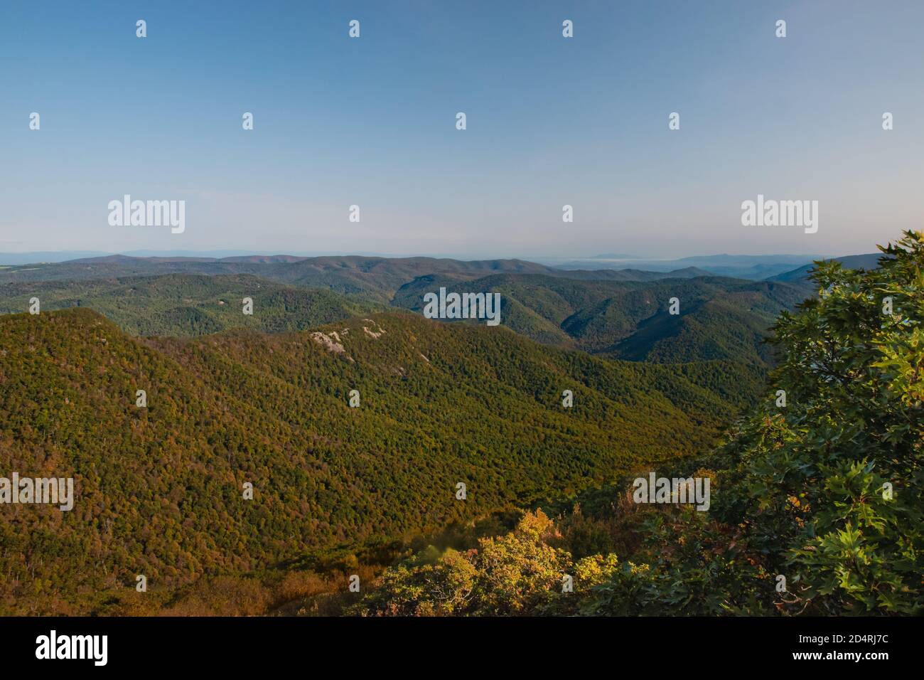 Après le lever du soleil sur le sentier des Appalaches, randonnée le long de la crête Banque D'Images
