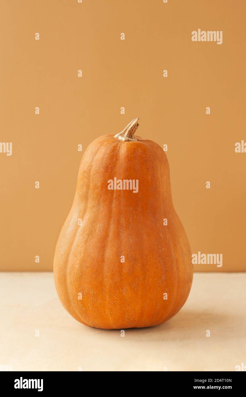 Photo verticale ovale orange allongé citrouille de la variété Matilda sur un fond beige monochrome, tendance au minimalisme alimentaire, foyer sélectif Banque D'Images
