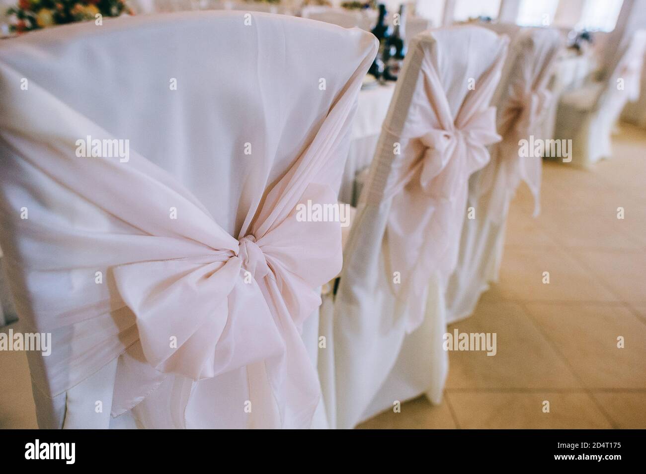 Rangée de magnifiques chaises décorées de tissus et d'arcs de couleur rose délicate dans la salle de mariage. Banque D'Images