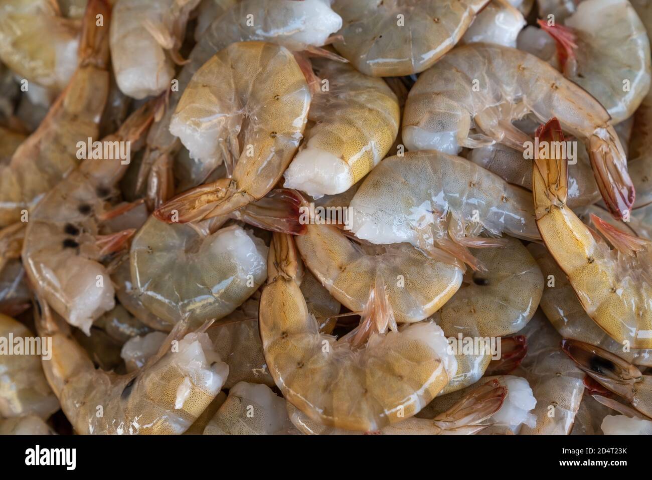 crevettes tropicales congelées sur le marché des fruits de mer Banque D'Images