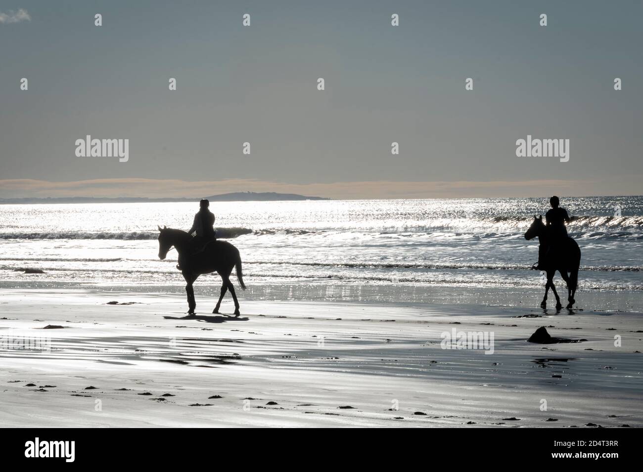 Equitation sur la plage de Moeraki, Otago, Île du Sud, Nouvelle-Zélande Banque D'Images