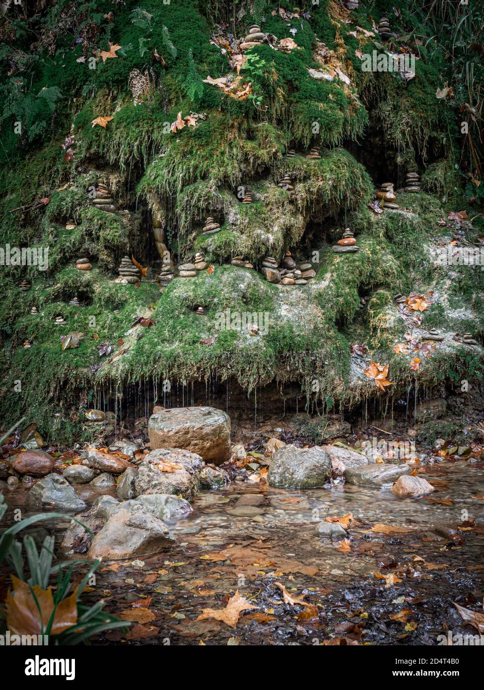 Fabuleux paysage forestier d'automne de forêt d'automne avec cascade couverte de mousse avec de nombreux cairns sur elle. Pierres dans le cours d'eau de la forêt avec l'automne tombé l Banque D'Images