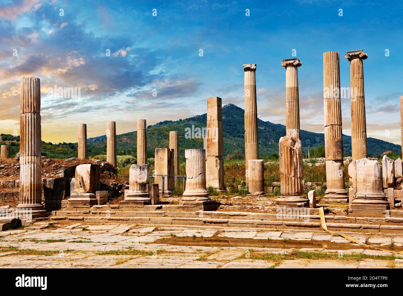 Fronton de la porte de 2-1 cent.B.C sur le propylène reliant le sanctuaire d'Artimis à l'Agora, Magnésie sur le site archéologique de Meander, Turquie Banque D'Images