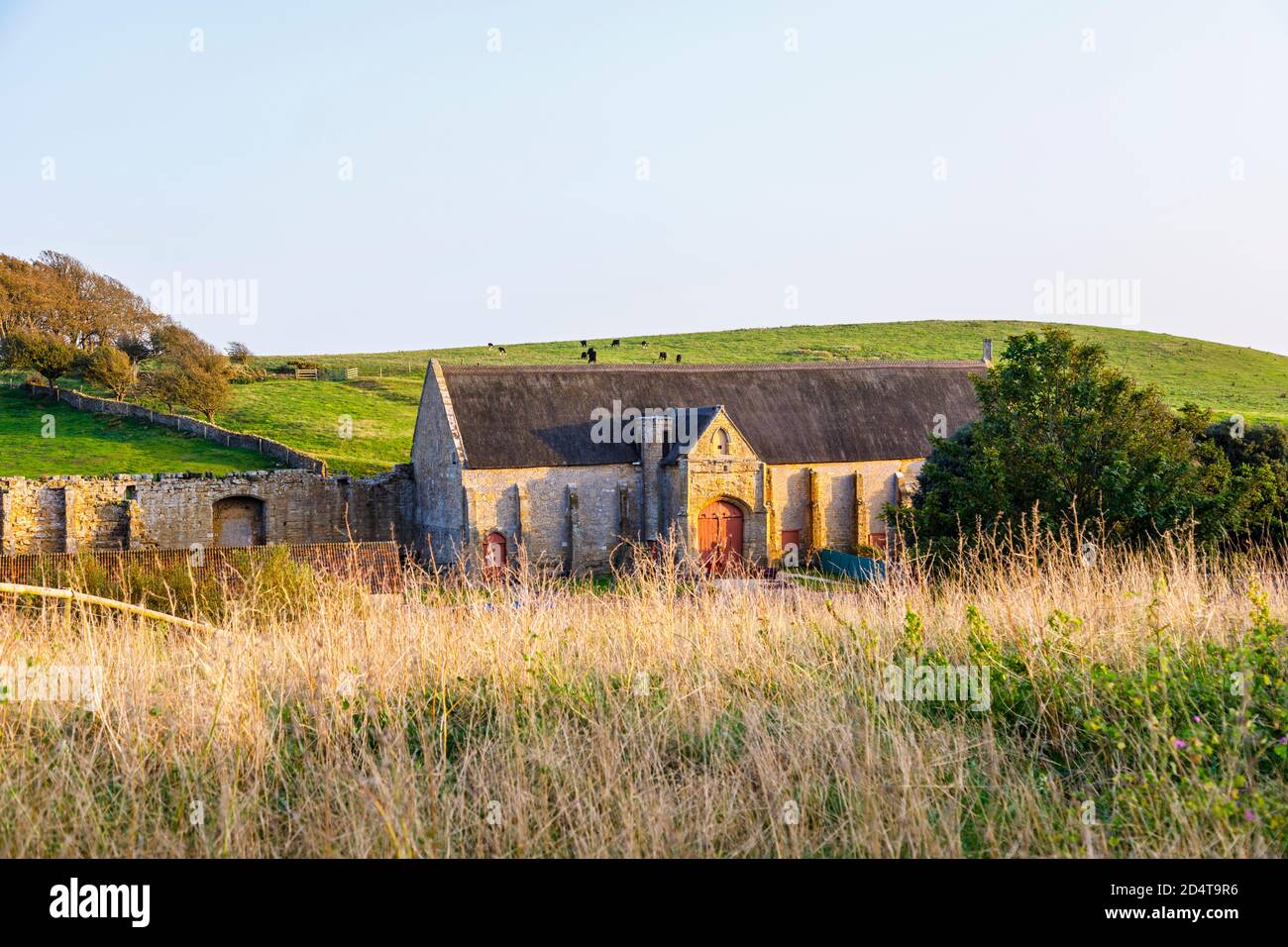 La grande grange de la dîme sur les ruines de l'abbaye d'Abbotsbury, un ancien monastère bénédictin d'Abbotsbury, Devon, au sud-est de l'Angleterre, vu d'Abbey House Banque D'Images