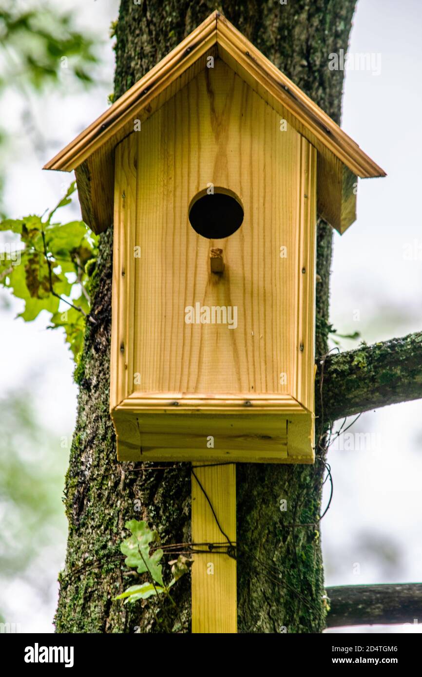 concept de protection de la nature, maison d'oiseaux faite à la main pour les oiseaux accrochés à un arbre de près Banque D'Images