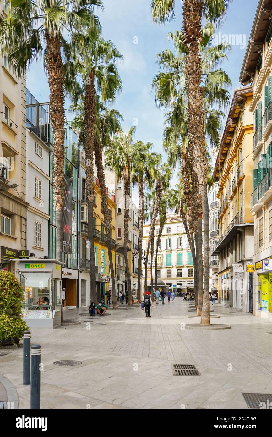 Rue bordée de palmiers à Puerto del Mar dans le centre de Malaga. Malaga, sud de l'Espagne. Banque D'Images