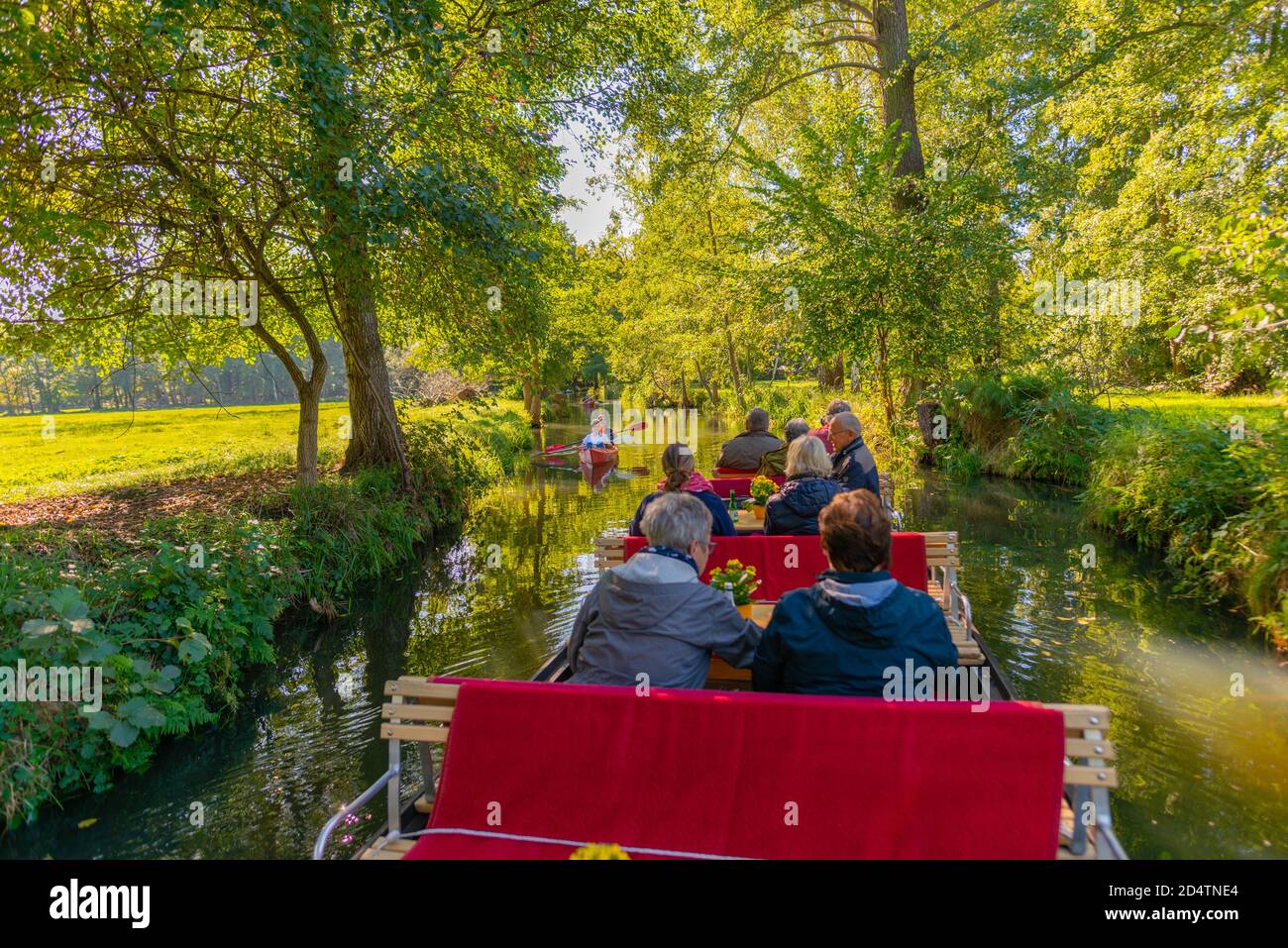 Réserve de biosphère de l'UNESCO Spreewald ou forêt de Spree, une excursion en bateau à partir de la communauté de Burg, Brandebourg, Allemagne de l'est, Europe Banque D'Images